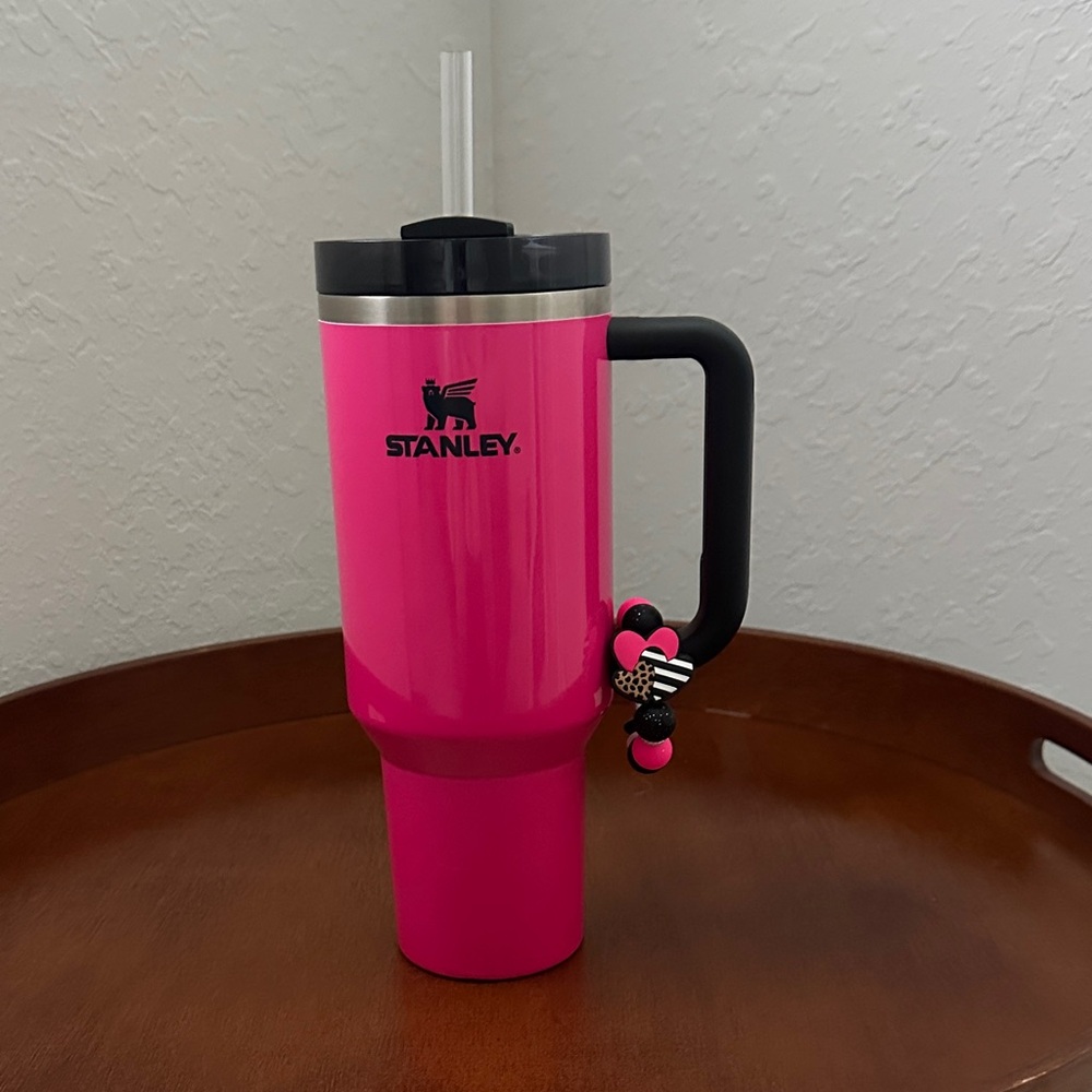 EUC Dicks Sporting Goods Exclusive Neon Pink Stanley 40oz